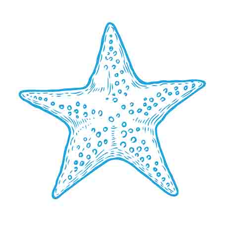 Starfish